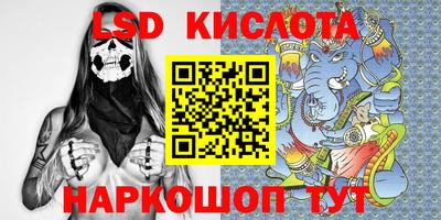 крисы Кандалакша