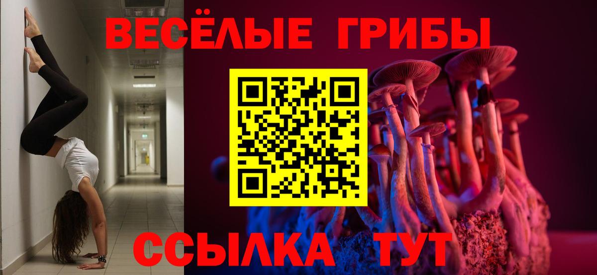 Псилоцибиновые грибы мицелий Волгодонск